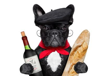 Französische Bulldogge mit Rotwein und Baguette